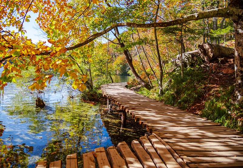 Gerjato Lakeside puzzle